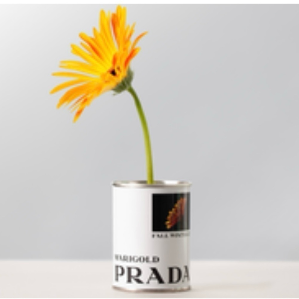 PRADA In Conversation With A Flower: MariGold Can Of Seed New Unopened - Picture 6 of 10